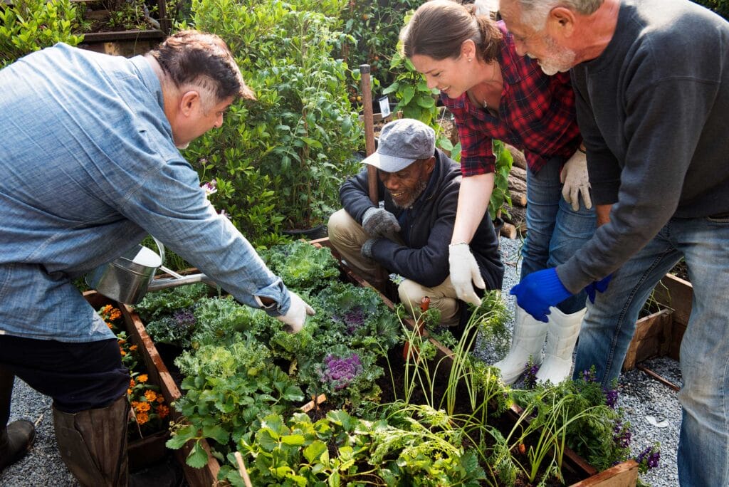 Group of people engaging in a community garden project