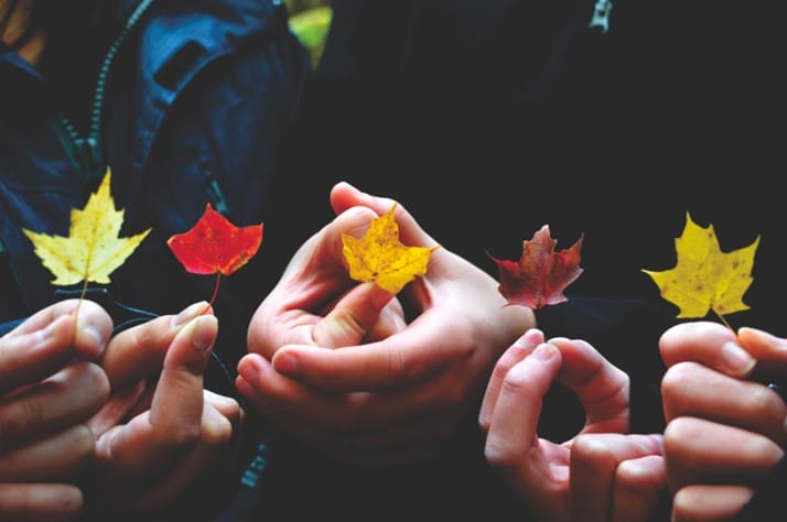 hands holding leaves in different colors