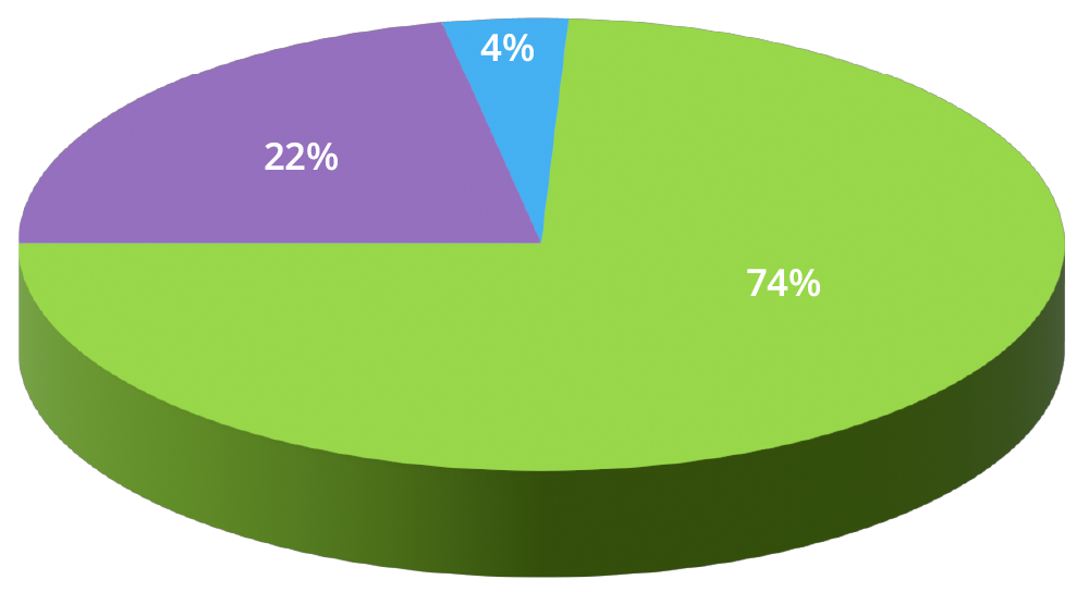 Pie chart with three segments: 74% in green, 22% in purple, and 4% in blue.