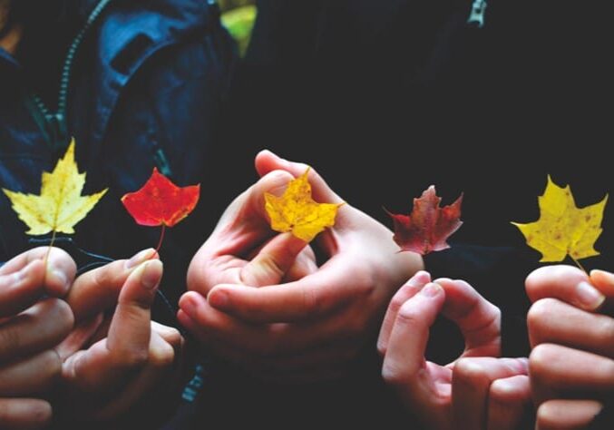 hands holding leaves in different colors