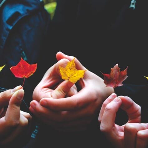 hands holding leaves in different colors