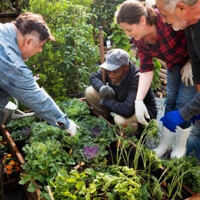Group of people engaging in a community garden project