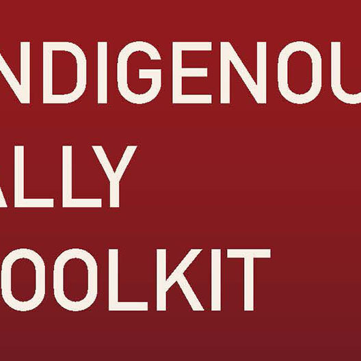 INDIGENOUS ALLY_Newsletter