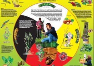 MHM-poster-2020-Mikmaq