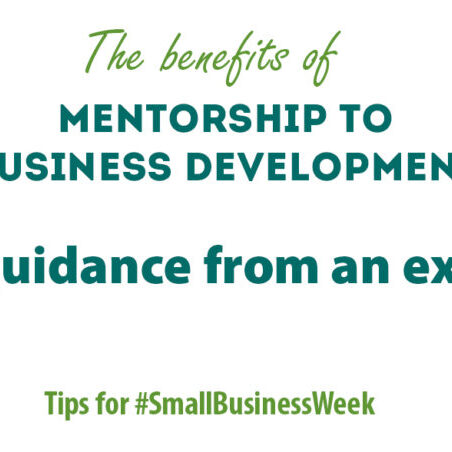 SmallBusinessWeek2018_guidance
