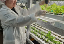 Tuson's wife Natalie is working in the indoor garden built by VCATIP.