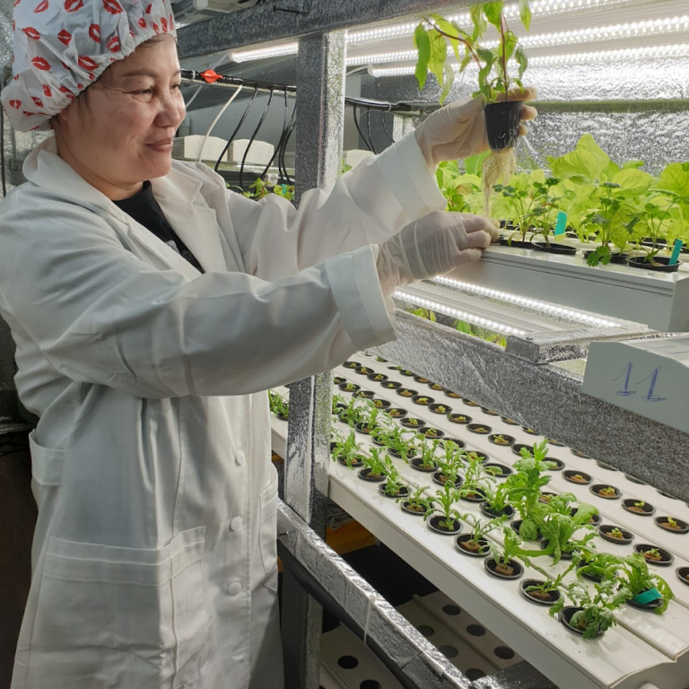 Tuson's wife Natalie is working in the indoor garden built by VCATIP.