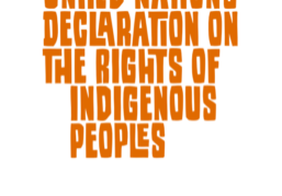 United Nations Declaration on the Rights of Indigenous Peoples