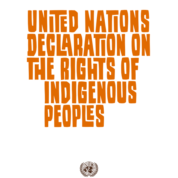 United Nations Declaration on the Rights of Indigenous Peoples